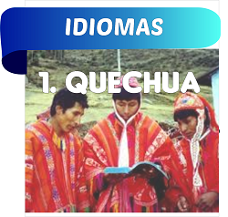 Módulo 5